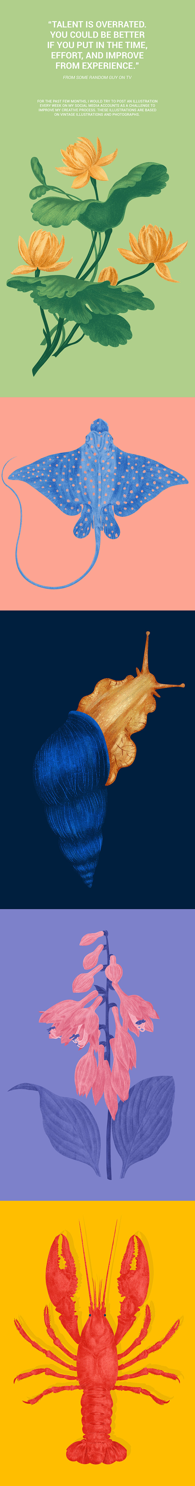 Behance 作品精选 : 今日的管理...
