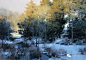 美国艺术家Mark·Boedges油画风景 - 画画老马 - 画画老马