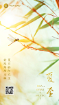 夏至节气祝福问候合成夏天手机海报