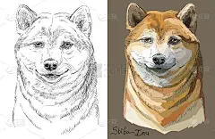 彩色和黑白柴犬矢量肖像