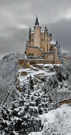 AlcazarCastleinthewi...