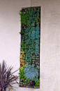 debora carl landscape design - Contemporary - Landscape - San Diego - debora carl landscape design