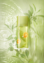 Gamme Green Tea Elizabeth Arden 