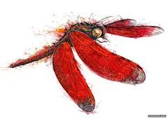 NIKE野性耐克动物插画 [38P]-美术插画 - DOOOOR.com