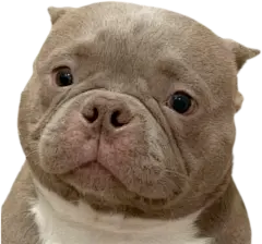 被催疯了的表情包终于审核通过了。。。 - 小红书