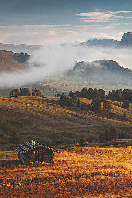 (1) Tumblr