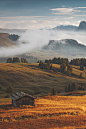(1) Tumblr