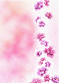 粉色花朵背景图片下载