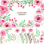 PS水彩粉色玫瑰花卉花枝叶子PNG免扣图片卡片婚宴美化设计素材-淘宝网