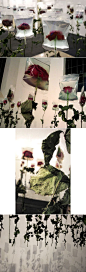 Min Jeong Seo - To Live On, 2005    http://seo-minjeong.de/
