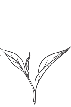 photo.sina.com.cn工夫红茶  ---  祁门红茶工艺(转