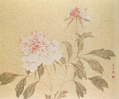 ZyV0mfU0采集到古画
