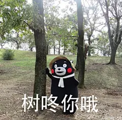 拥有一大波熊本熊表情包是一种什么样的体验？ - 搞笑 - 知乎