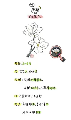 天街小雨润如酥，草色遥看近却无。
最是一年春好处，绝胜烟柳满皇都。