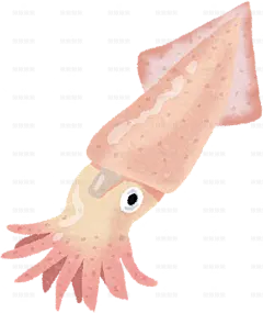 鱿鱼_副本手绘卡通插画手绘png儿童插画免扣素材