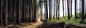 The Eternal Light by Timothy Poulton on 500px