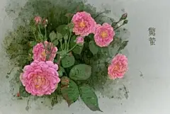 二十四节气对应的花朵 : 1、立春2月3-5日(阴历腊月十六日)：迎春花迎春花与梅花、水仙和山茶花统称为“雪中四友”，当迎春花开放的时候说明离春天也就不远了，这时候天气也渐渐回暖，所以十四节气对应的花...
