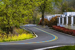 陆qqqqqqqqq采集到道路