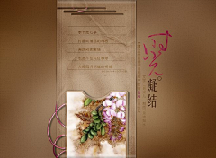 采薇2014采集到图文
