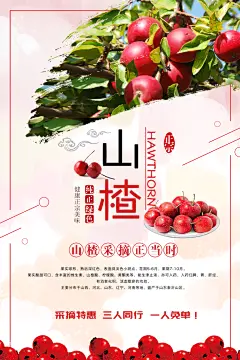 美味新鲜山楂宣传海报