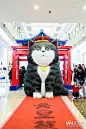 2017南京购物中心圣诞美陈玩出新意  IP展、灯光秀赚足眼球 : 各具特色的圣诞美陈成了购物中心吸睛的重要“手段”，今年的圣诞节，南京各大购物中心又有哪些或华丽或搞怪的美陈场景值得一看呢？
