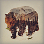 Free shipping in my webstore #bear #andreaslie
