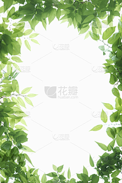 猫先生做设计采集到恐龙