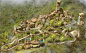 Chimelong Qingyuan Forest Resort
