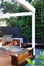 Cammeray - Coastal - Garden - Sydney - by Stone Lotus Landscapes : Cammeray - Coastal - Garden - Sydney - by Stone Lotus Landscapes