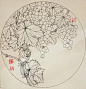 钢笔花卉白描达人叶志军先生的钢笔画分享