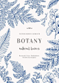 Floral Background. Vintage Invitation With Various Leaves. Botanical Illustration. Fern, Seeded Eucalyptus, Maidenhair. Engraving Style. Design Elements. Royalty Free Cliparts, Vectors, And Stock Illustration. Image 63419062.