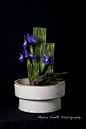 https://flic.kr/p/9rPHtM | Ikebana Hong Kong 022