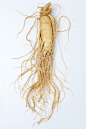 Ginseng #草药 / 香料#