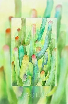 治愈系仙人掌 壁纸: 刺下是一颗傲娇的心（via 董哩个咚--嗷 ​​​​） ​​​​