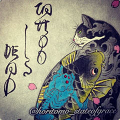 Flowerss11采集到蛊惑猫