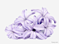 紫色百合花束花束|紫色|百合|花束|百合花|教师花束|手绘花束|矢量花束|花束花藤|鲜花花束|装饰花束|花束卡通鲜花|花束图案|卡通花束|花束玫瑰花|鲜花花束90|清新淡雅花束|百合花束|玫瑰花花束|花束中的兔子|满天星花束|红色花束|花束花朵花卉植物|花束郁金香|花束装饰图案