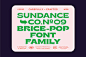 "65% OFF Brice Font Family", a Font by Sundance Tipografia