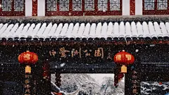 花卉摄影｜LOFTER（乐乎） - 让兴趣，更有趣