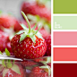 Wonderful "tasty" palette as juicy summer fruits and berries. Shades of green, pink and bright red - a lovely song, fresh and cheerful. Suitable for the creation of original, very female interior. The base color can choose pastel green or light 