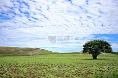 日立海滨公园,茨城县,自然,草地,水平画幅,建筑,蓝色,人,夏天,户外
