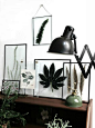 Inspiration Déco: 