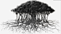大型手绘古榕树树根