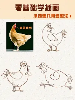 图源小红书 @橘子插画