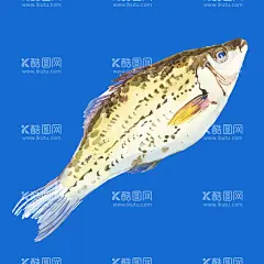 卡通鱼  - 源文件下载【酷图网】卡通鱼造型,动画鱼,海底世界,海洋馆,海鱼,卡通鱼雕刻,鱼插画,鱼矢量图,迪士尼乐园,长隆海洋馆,玩具鱼,CDR,矢量图可编辑,小鲤鱼历险记,海底总动员,游乐园,鱼池,假鱼