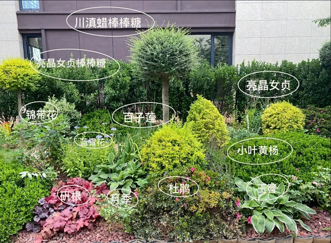 北方地区低维护免打理花境配置