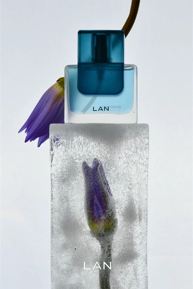 品牌/LAN 兰