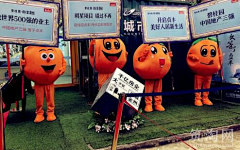 LionKi采集到橙子主题活动