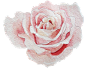 粉嫩手绘水彩花朵花卉花环婚礼迎宾海报PNG免扣设计元素PS素材