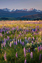 Glamping in Wild Montana