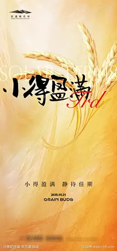 小满节气海报_源文件下载_AI格式_1333X2855像素-耕地,麦子,小满-作品编号:2025050716087943-志‘设‘网